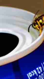img-75ca665e12c0de95e57d9789ba1a2355.jpg