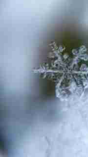img-d2cf89de2e68c5184ecb135ee7d336d0.jpg
