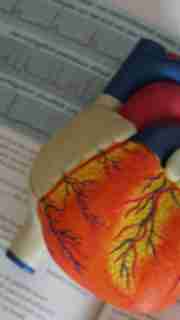 img-e02df5b5a6039ffb78dde805e85c21d9.jpg