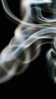 img-ef37e7b42f59e331428c2b9fe4024c3a.jpg