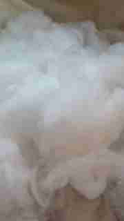 img-f2be741accc3a669d36e280a2b5b38a4.jpg