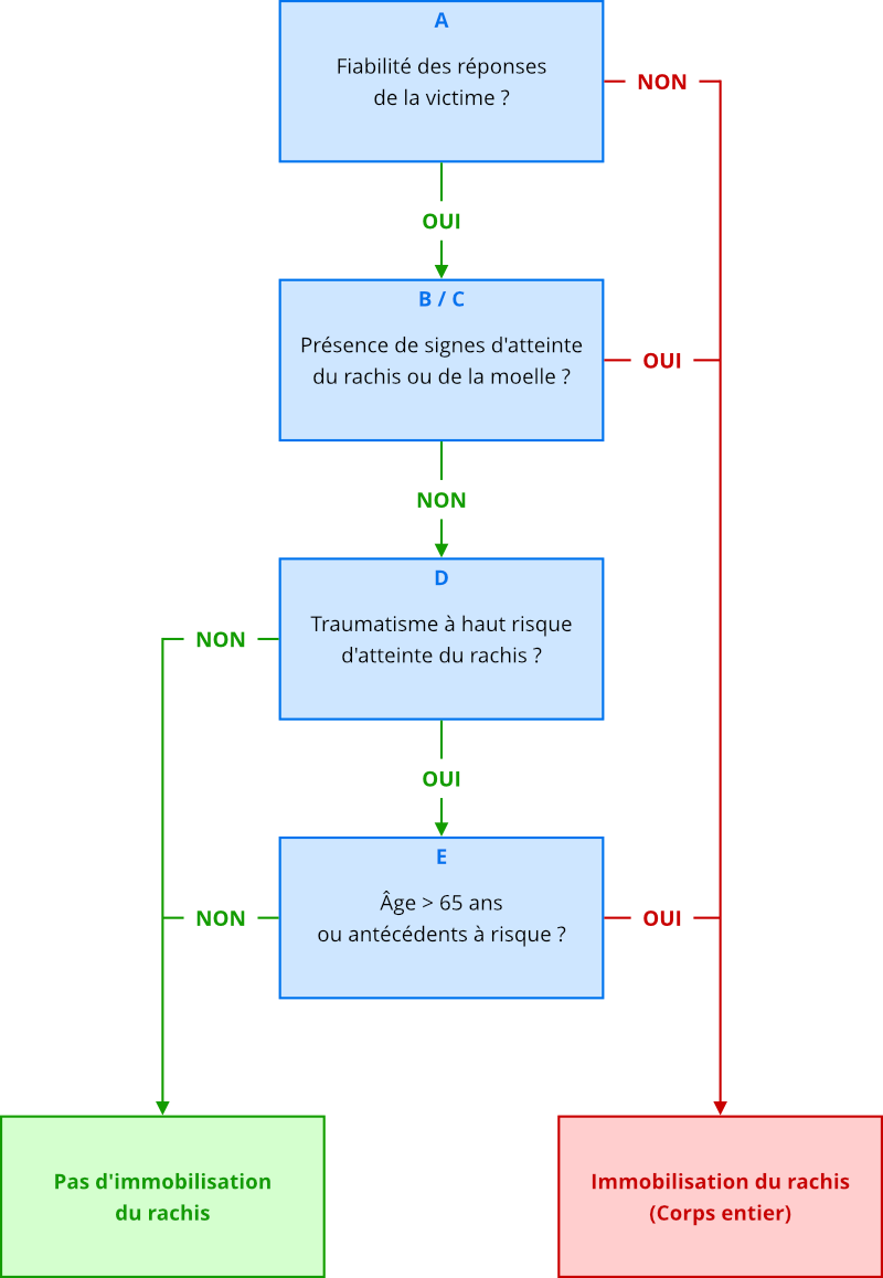 Algorithme d'immobilisation du rachis